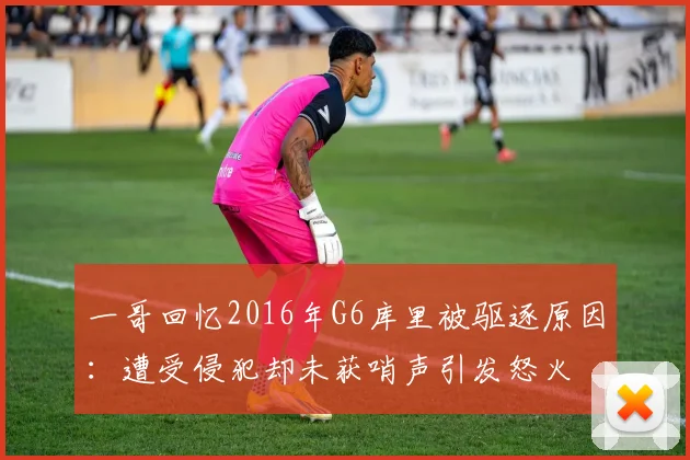 一哥回忆2016年G6库里被驱逐原因：遭受侵犯却未获哨声引发怒火
