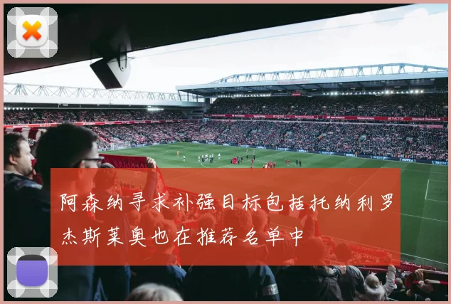 阿森纳寻求补强目标包括托纳利罗杰斯莱奥也在推荐名单中