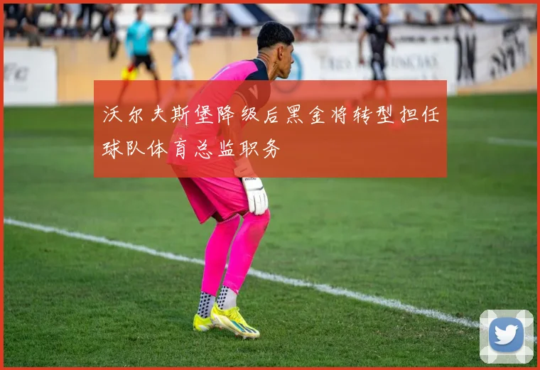 沃尔夫斯堡降级后黑金将转型担任球队体育总监职务