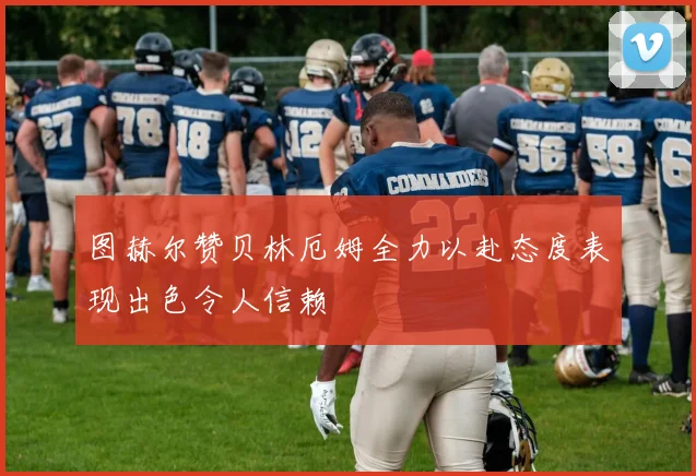 图赫尔赞贝林厄姆全力以赴态度表现出色令人信赖
